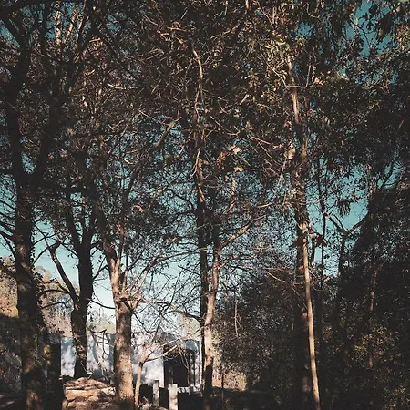 Pepe Vieira Hotell Raxo